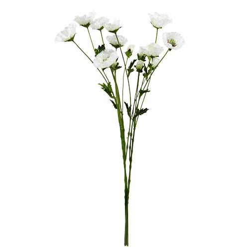 Floristik24 Mákvirág rózsa fehér 3db