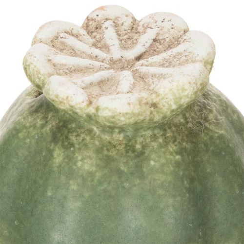 tételeket Mákhüvely dísztüske szezonális kerti eleganciához vagy erkélydíszítéshez, 41 cm, 4 darab