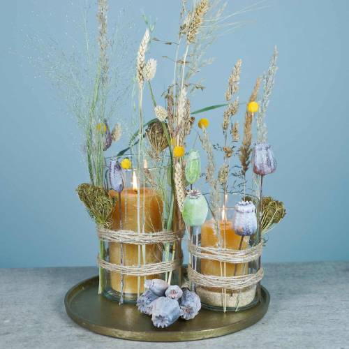 Floristik24 Műmákos kapszula sárga, barna 6db