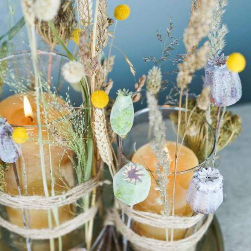 Floristik24 Műmákos kapszula zöld 26cm/28cm 6db