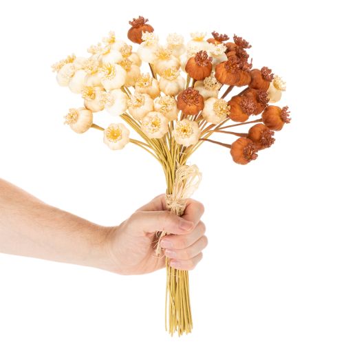 Szárított műmákhüvelyek, három színű csokor, 40 cm, 45 darab | Floristik24.hu