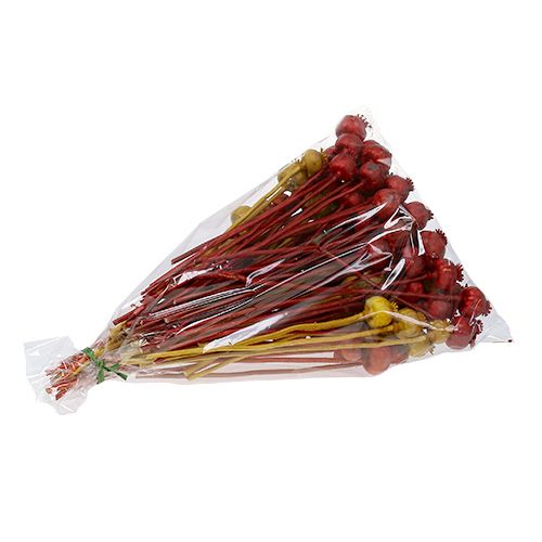 Floristik24 Mákfejek 3 színben válogatva 100 db