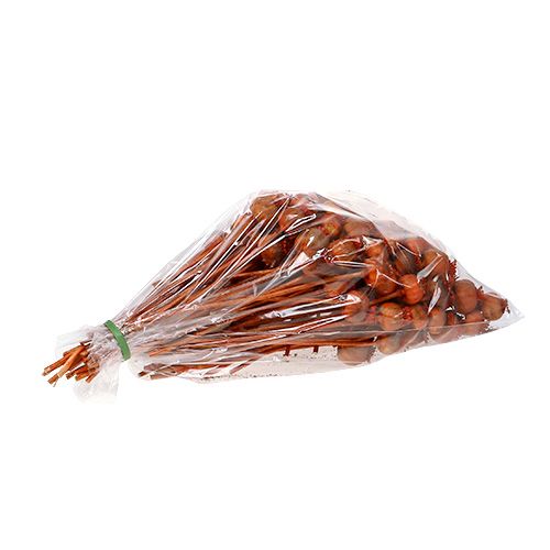 Floristik24 Narancssárga mákfejek 100 db