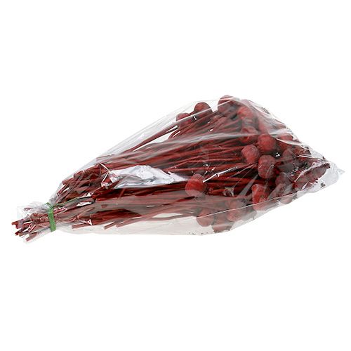 Floristik24 Piros színű mákfejek 100 db