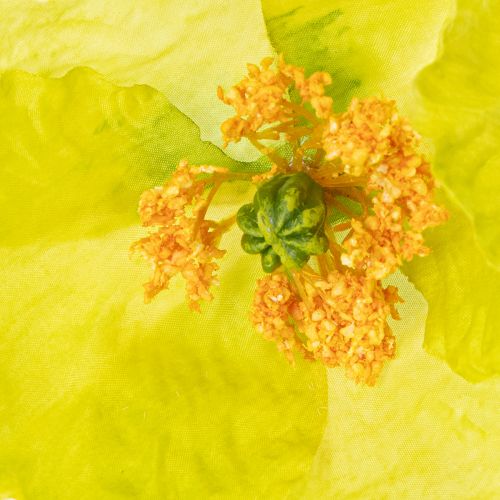 tételeket Műpipacs dekoráció nappaliba és irodába, 95 cm