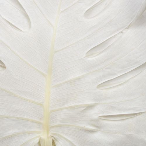 tételeket Monstera levelek fehérített díszes ablaklevél M40cm 5 db