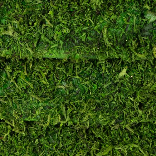 tételeket Dekoratív moha koszorú szezonális kompozíciókhoz és egyedi tervezéshez, 15 cm, 6 darab