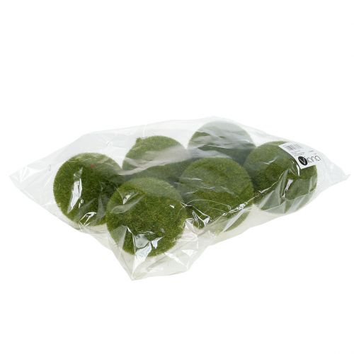 Floristik24 Mohalabda Ø8cm zöld 6db