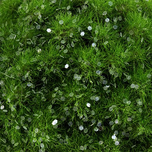 Floristik24 Mohalabda csillámmal Ø9cm zöld