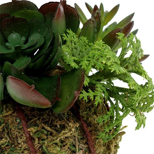 Floristik24 Kokedama Artificial Green Ø7cm