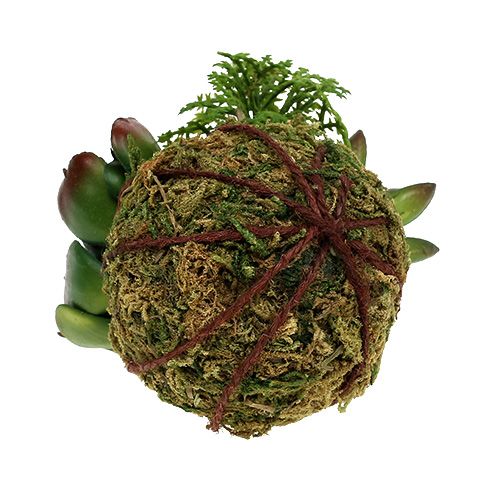Floristik24 Kokedama Artificial Green Ø7cm