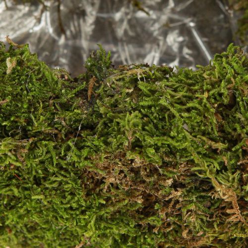 tételeket Mohás díszes virágcserép, félhold alakú, fém talppal, természetes dekoráció lakótérbe és ünnepségekre, 40×15×30cm