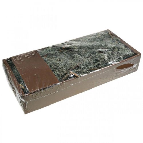 tételeket Deco gallyak tölgy moha moha deco zuzmó natúr dekoráció 750g