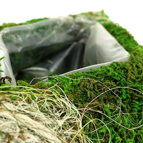 Floristik24 Mohapárna rombusz 34cm x 19cm 2db