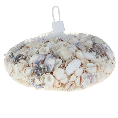 tételeket Kagylódísz mini kagylók csigaház 1-3cm 340g