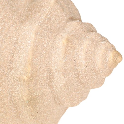 tételeket Shell Dekoráció Tengeri Kerámia Kék Bézs 16,5×11×9,5cm 2 db