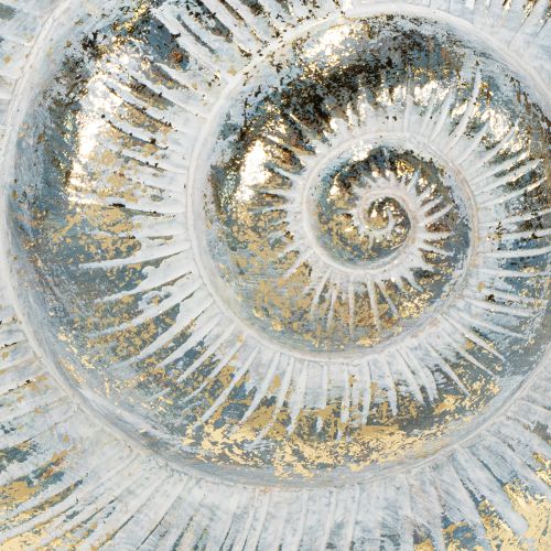 tételeket Dekoratív csiga alakú tárolóedény tengeri és természetes fali dekorációhoz, szürke, 21 cm