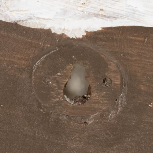 tételeket Dekoratív csiga alakú tárolóedény tengeri és természetes fali dekorációhoz, szürke, 21 cm