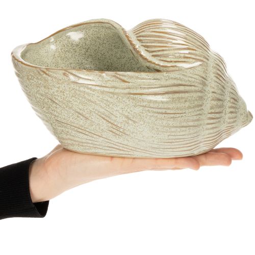 tételeket Kagylómintás kerámia tál elegáns nappali dekorációhoz, 23 cm