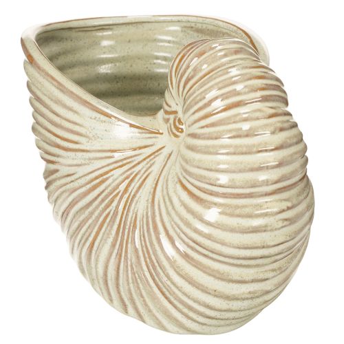 tételeket Csiga mintás kerámia virágcserép különleges növénykompozíciókhoz, 21 cm