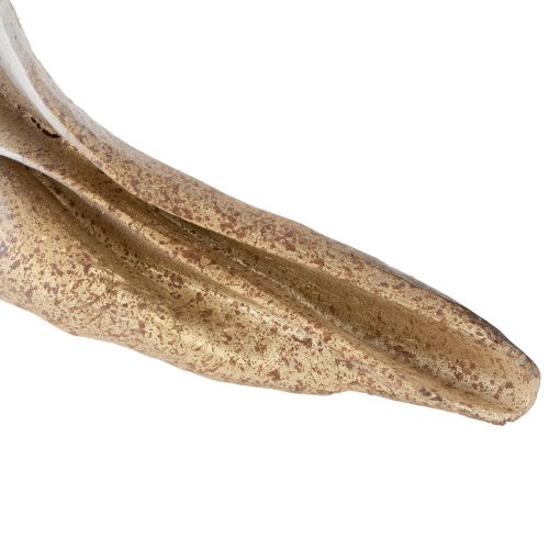 tételeket Dekoratív kagyló alakú, stílusos tengerészeti dekorációhoz, 44 cm