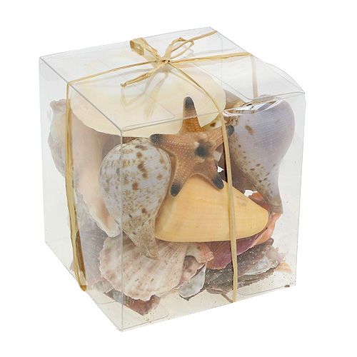 Floristik24 Kagyló mix dobozban natúr 380g