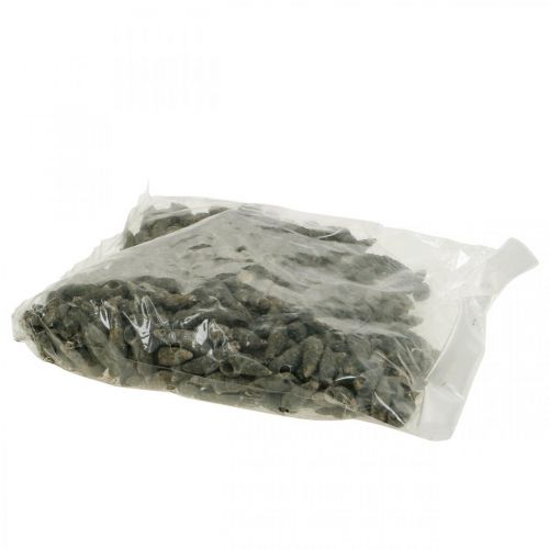 Floristik24 Természetes tárgyak, natúr csigaház 6-10mm, tengeri díszek 1kg