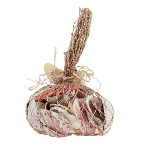 tételeket Kagylódísz valódi kagylók különböző fajták 300g