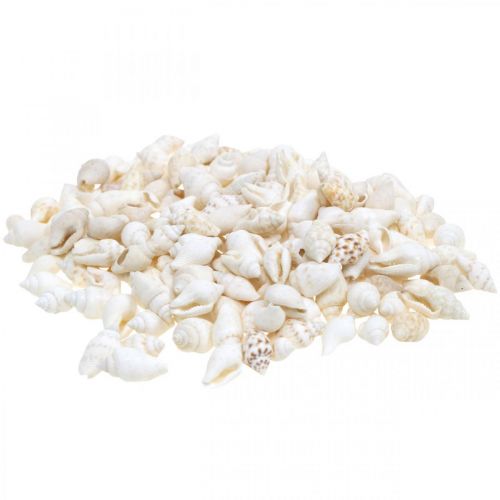 Natural Deco Shells Nassa Maritime Deco White 8-15mm 1190g