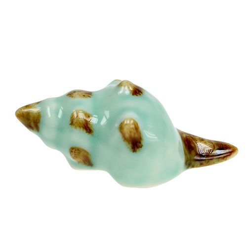 Floristik24 Porcelán kagyló fajta. 9,5cm 2db