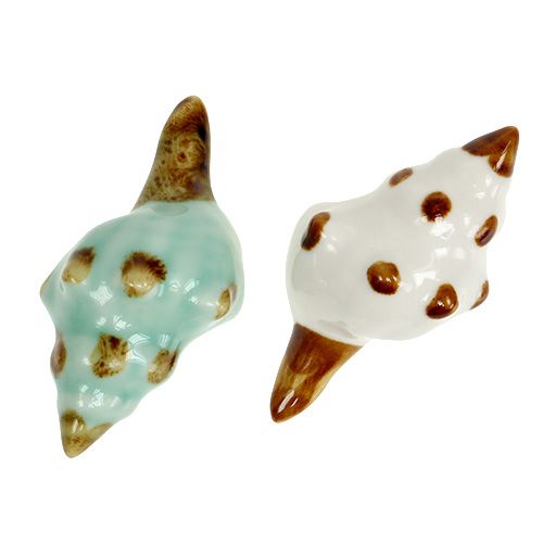 Floristik24 Porcelán kagyló fajta. 9,5cm 2db