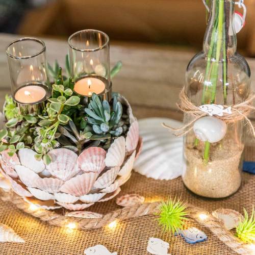 Floristik24 Kagyló mix természet 500g