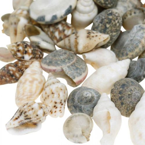 tételeket Deco csigaház mini természet keverék tengeri dekoráció 1kg