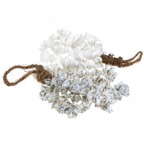 Floristik24 Shells shell nyaklánc shell medál deco tengeri 2db