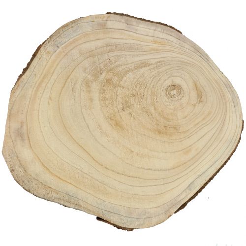 Floristik24 Fa korong kék harang fa természet Ø35-45cm