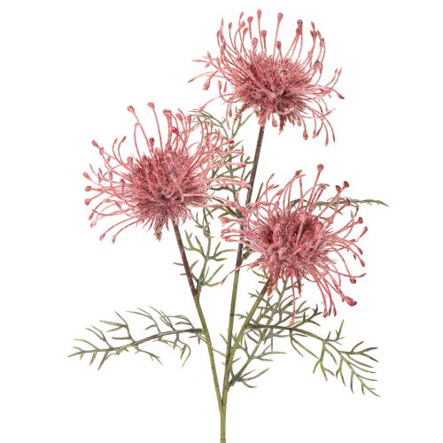 Művirág tűpárna protea virágzó ág 65cm 3db vétel | Floristik24.hu
