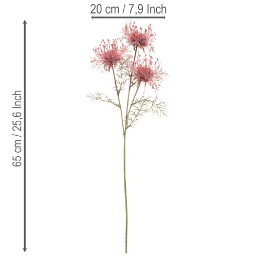 Művirág tűpárna protea virágzó ág 65cm 3db | Floristik24.hu
