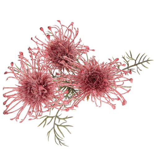 Művirág tűpárna protea virágzó ág 65cm 3db | Floristik24.hu