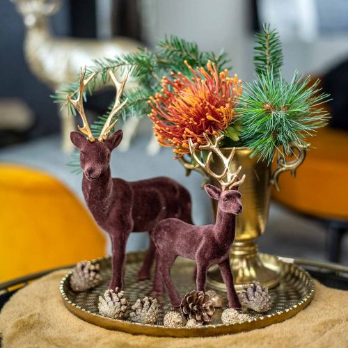 tételeket Tűpárna egzotikus művirág narancs Leucospermum Protea 73cm 3db