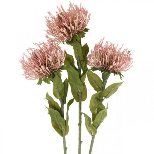 Floristik24 Őszi virág tűpárna mesterséges Protea Rosa Leucospermum 73cm 3db