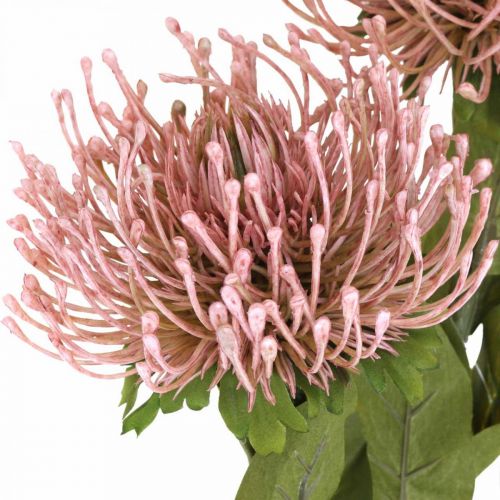tételeket Őszi virág tűpárna mesterséges Protea Rosa Leucospermum 73cm 3db