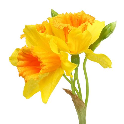 Floristik24 Nárcisz sárga L40cm