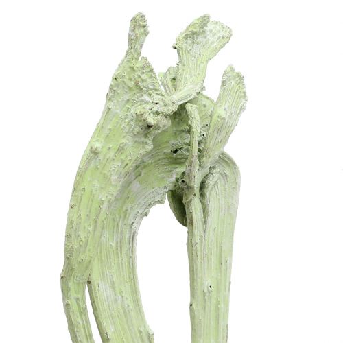 tételeket Natraj Mix almazöld, fehérre meszelt 10 db