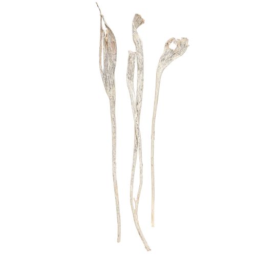 Natraj Antler Wood Mix White Washed 10 db