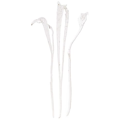 Floristik24 Natraj agancsfa keverék fehérítve 10 db