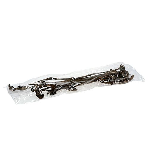 tételeket Natraj Antler Wood Mix Natural 10 db