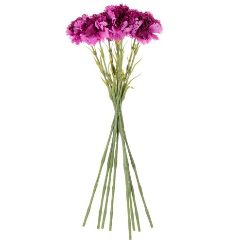 Műszegfű, kétszínű, hosszú szárú, 56 cm, 8 darabos csokor. | Floristik24.hu