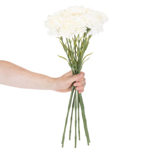 Műszegfű szárral csokrokhoz és koszorúkhoz, 56 cm, 8 darab | Floristik24.hu