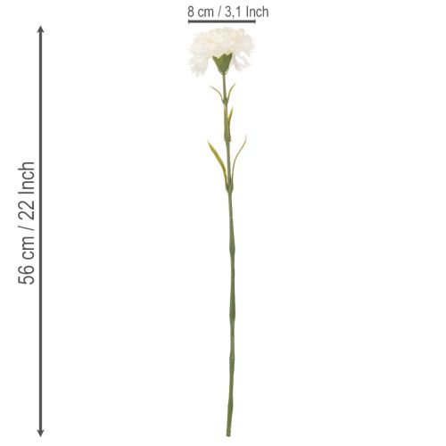 Műszegfű szárral csokrokhoz és koszorúkhoz, 56 cm, 8 darab | Floristik24.hu