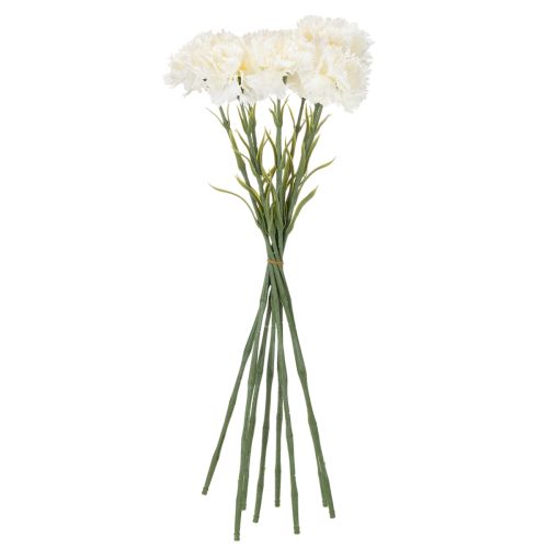 Műszegfű szárral csokrokhoz és koszorúkhoz, 56 cm, 8 darab | Floristik24.hu